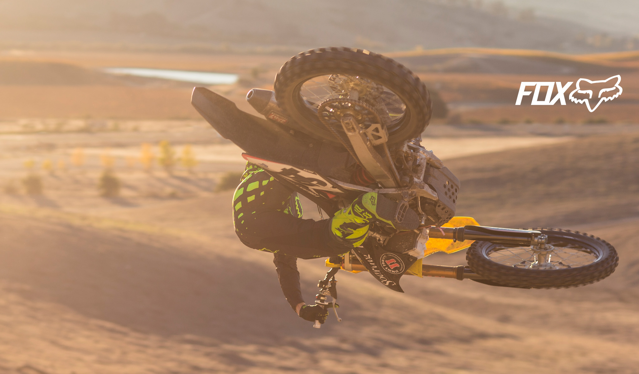 FOX MX N Distribution